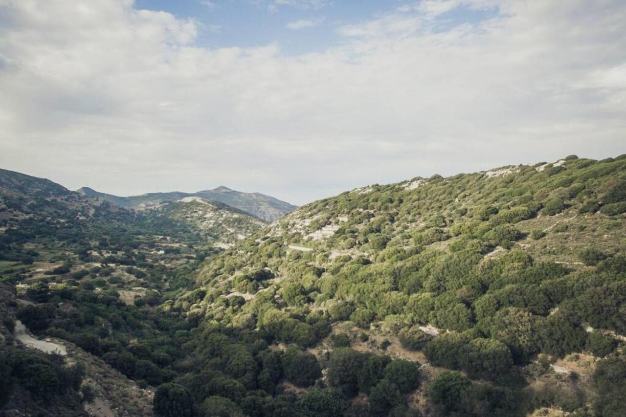 Tatil Evi Traditional Pirethron Apérathos